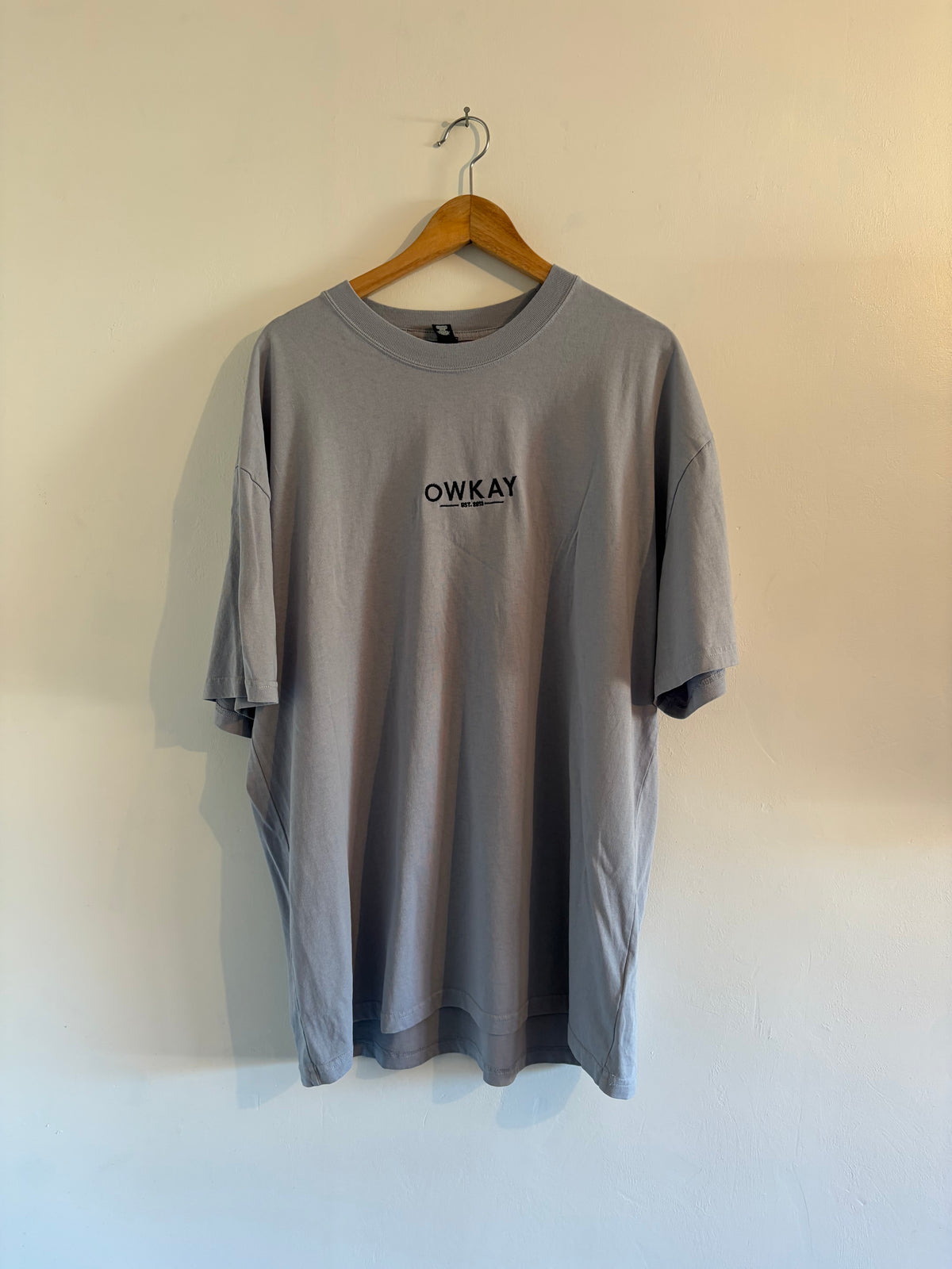 SAMPLE 42 - MENS T-SHIRT - XLARGE