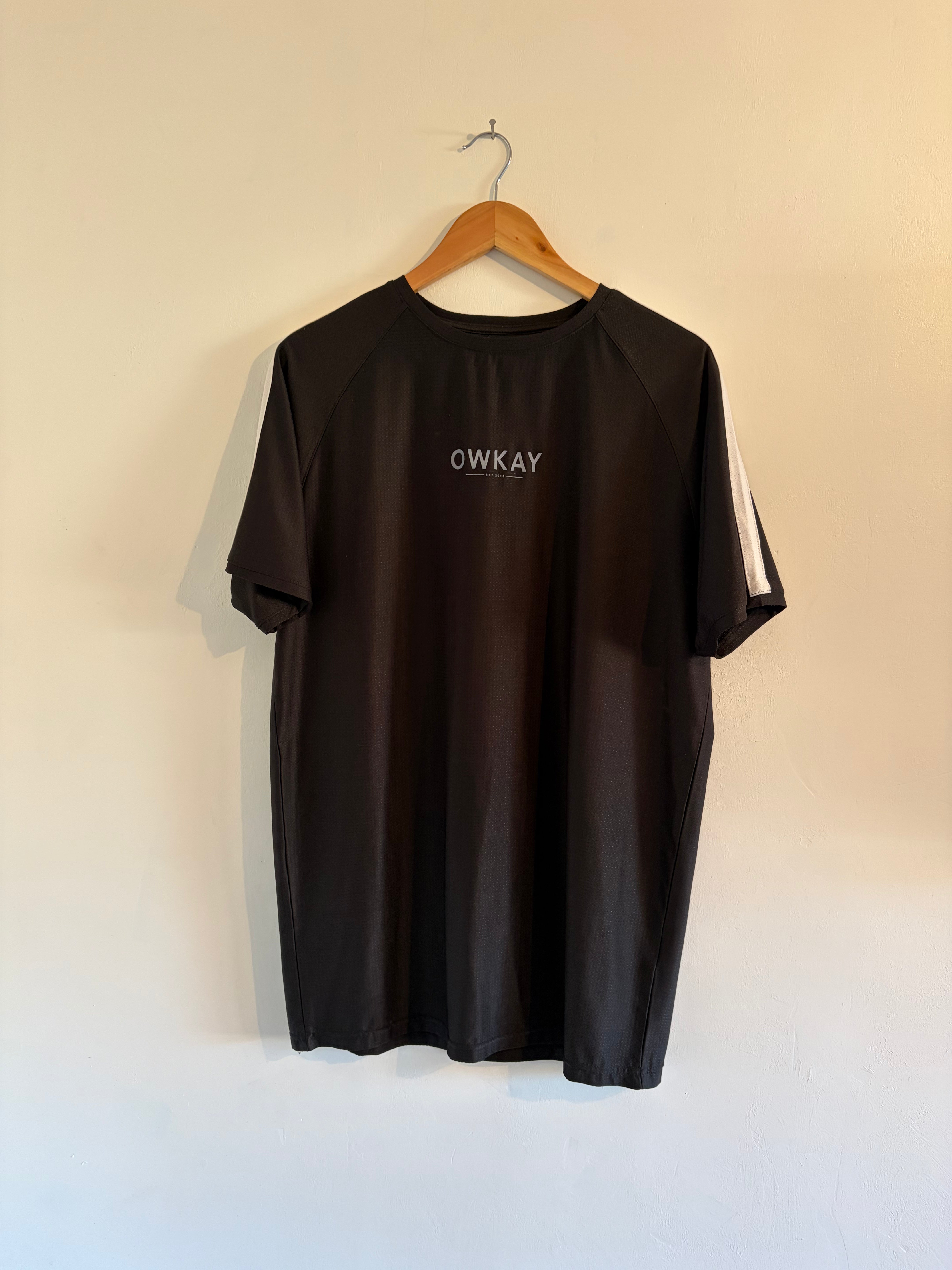 SAMPLE 41 - MENS T-SHIRT - XLARGE